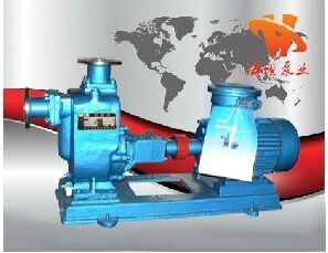 304不锈钢自吸离心泵ZX型