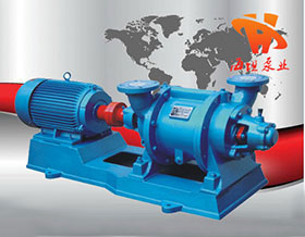 水环式真空泵SZ型